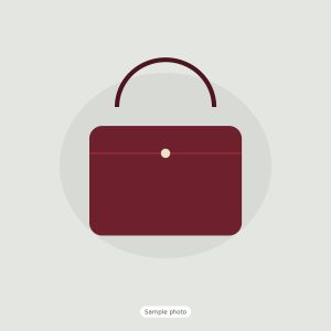 Vera Structured Top-Handle Bag